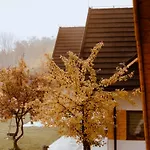 Holiday home Zadzielanka *