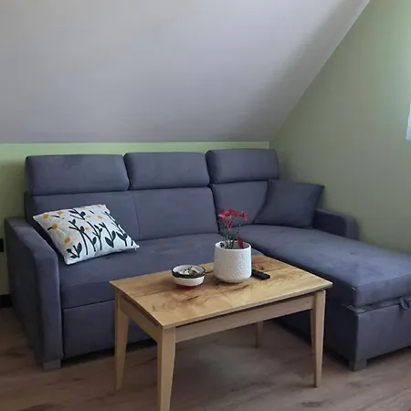 Prázdninový dům Wypoczynkowe Zadzielanka Żywiec