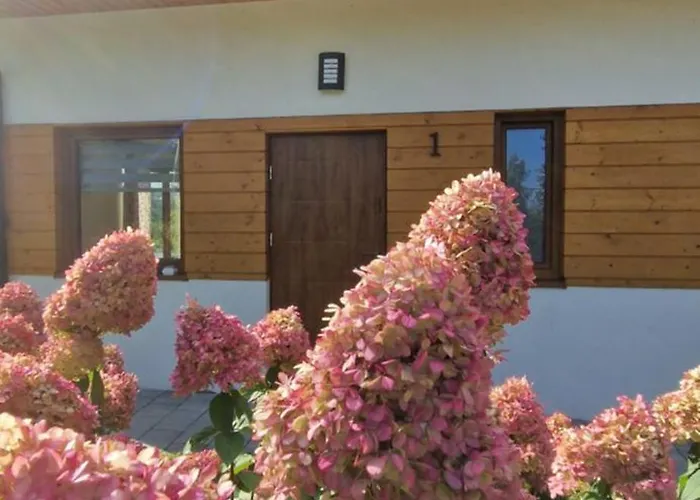 Wypoczynkowe Zadzielanka Żywiec